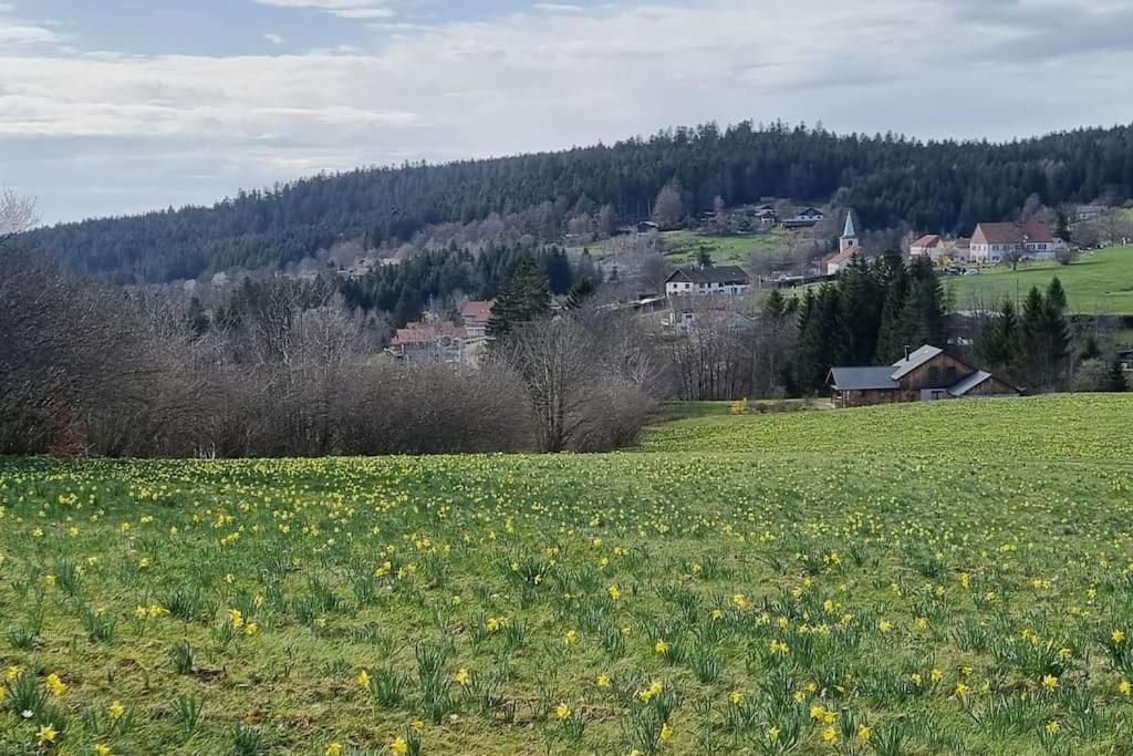 Le Grenier De Jules Et Marguerite Villa Liézey Buitenkant foto